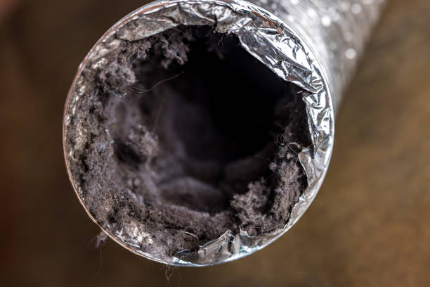 Best Air Duct Cleaning Near Me  in Cypress Gardens, FL