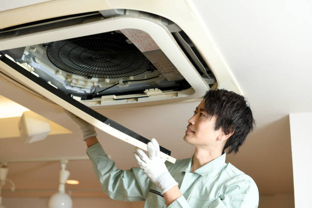 Best Local Air Duct Cleaning Services  in Cypress Gardens, FL