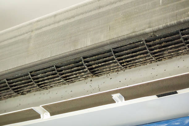 Best Residential Air Duct Cleaning  in Cypress Gardens, FL